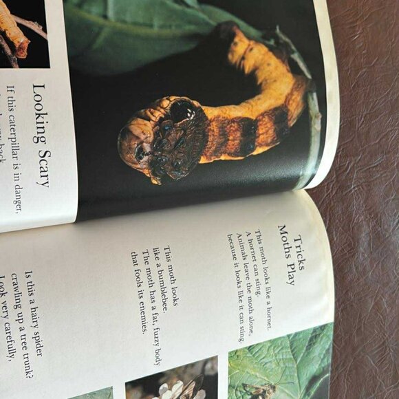 Vintage National geographic Books For Young Explorlers Set of 6 - Picture 8 of 16